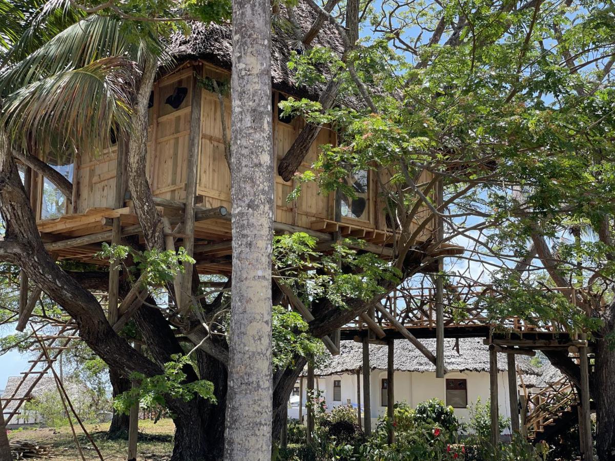 Antonio Beach Tree House Hotel & Spa Uroa Dış mekan fotoğraf