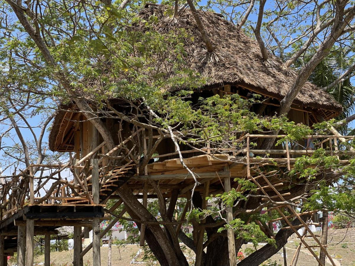 Antonio Beach Tree House Hotel & Spa Uroa Dış mekan fotoğraf