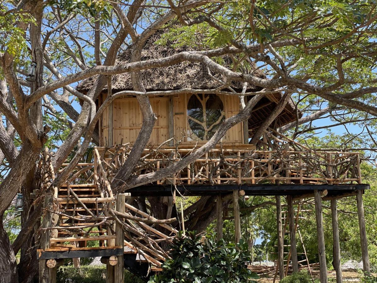 Antonio Beach Tree House Hotel & Spa Uroa Dış mekan fotoğraf