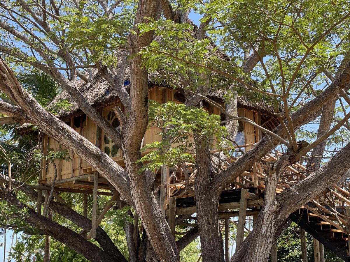 Antonio Beach Tree House Hotel & Spa Uroa Dış mekan fotoğraf
